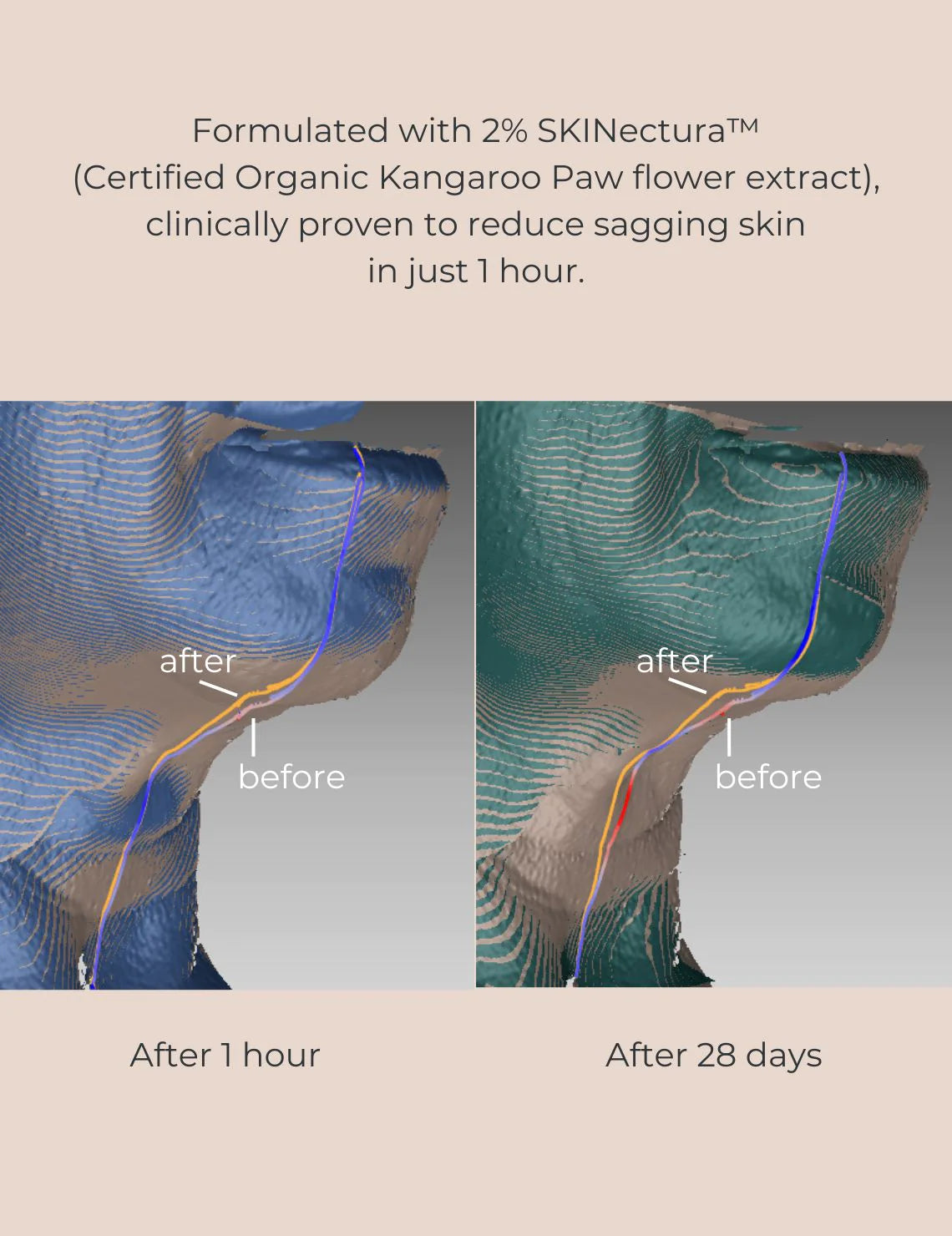 Organic Pure Perfection Primer