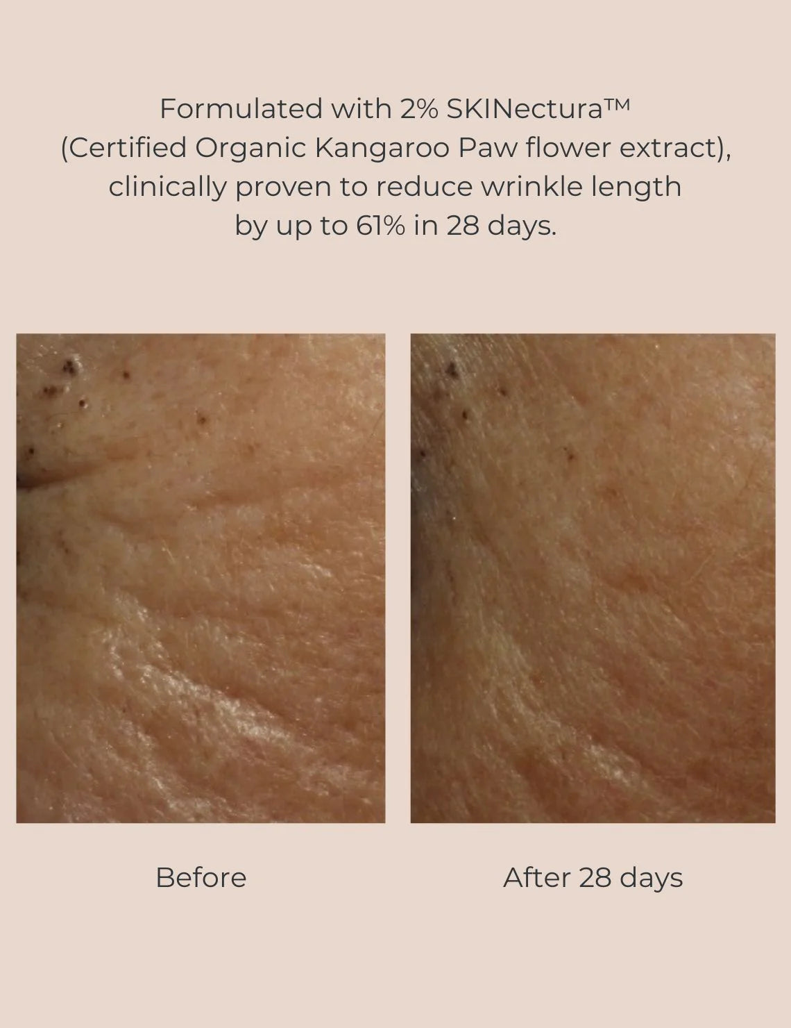 Organic Pure Perfection Primer