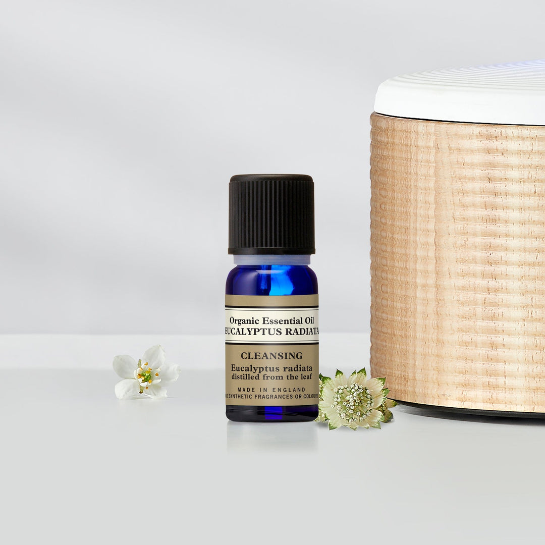 Organic Eucalyptus Radiata Essential Oil