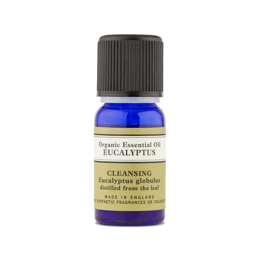 Eucalyptus Globulus Organic Essential Oil