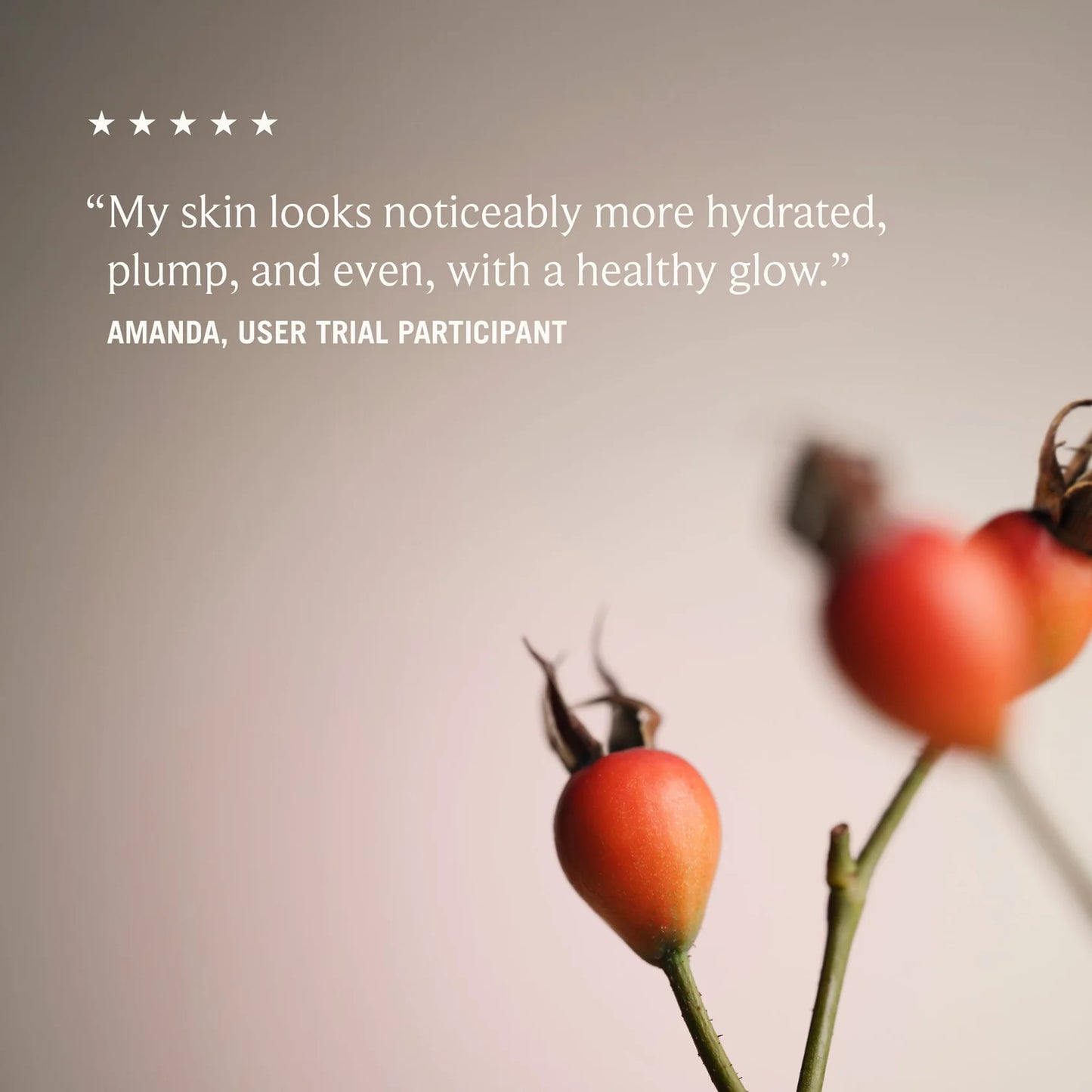 Wild Rosehip Glow Cream