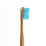 Environmental Toothbrush