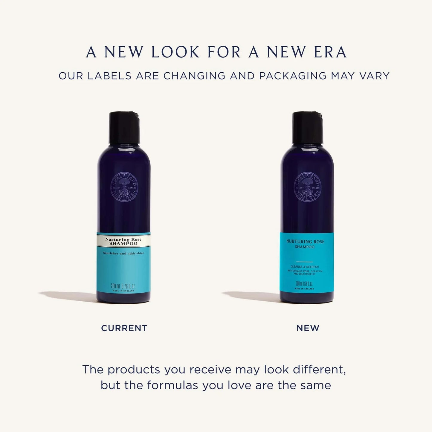 Nurturing Rose Shampoo