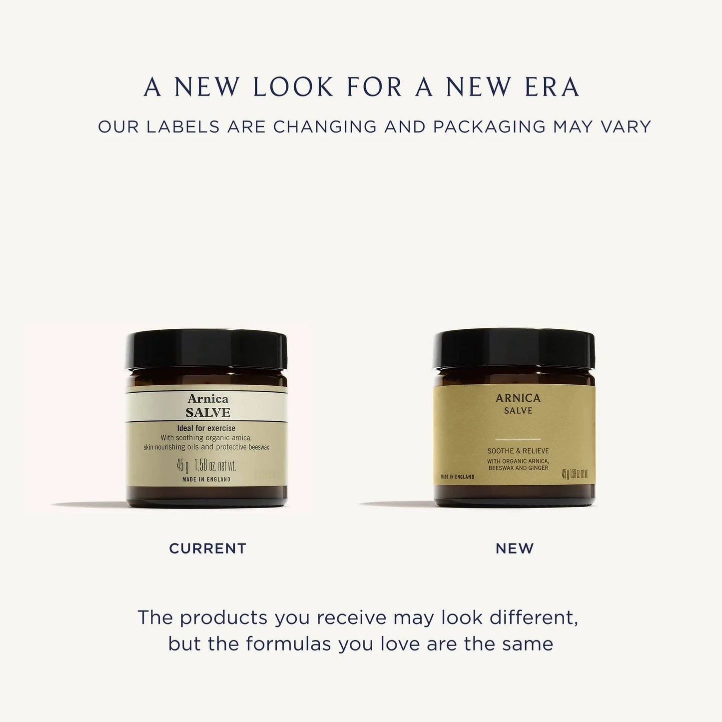 Arnica Salve