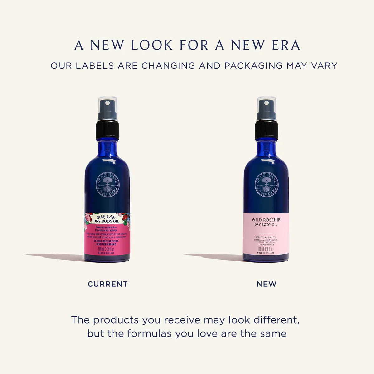Wild Rose Dry Body Oil
