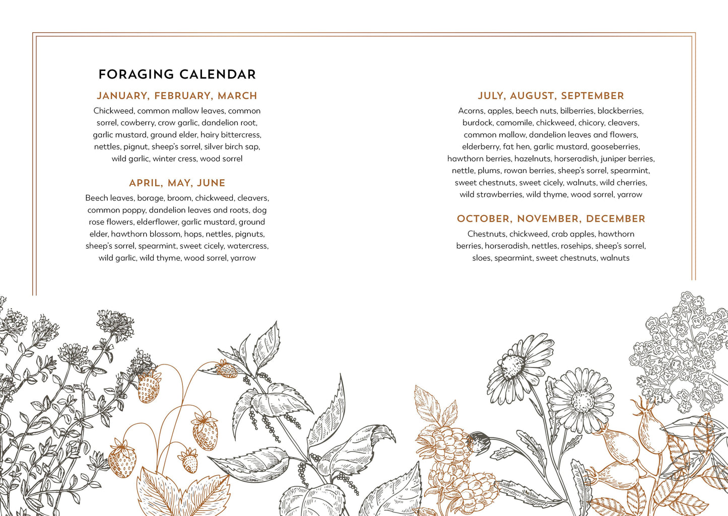 The Hedgerow Apothecary Forager’s Handbook