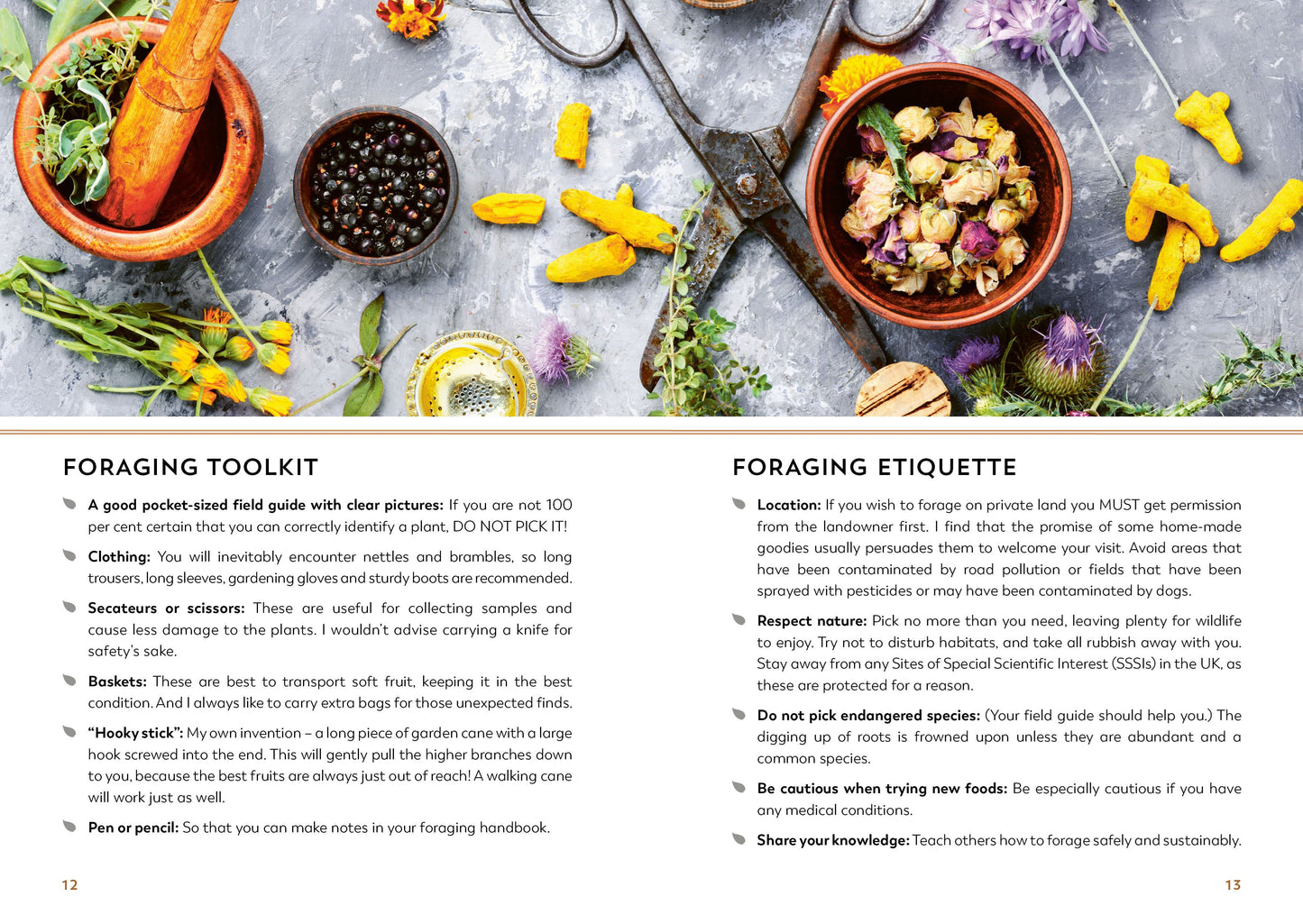 The Hedgerow Apothecary Forager’s Handbook