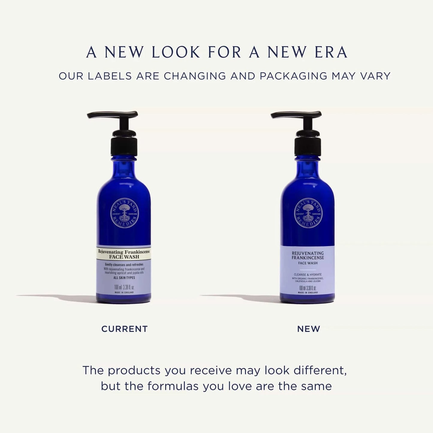 Rejuvenating Frankincense Facial Wash