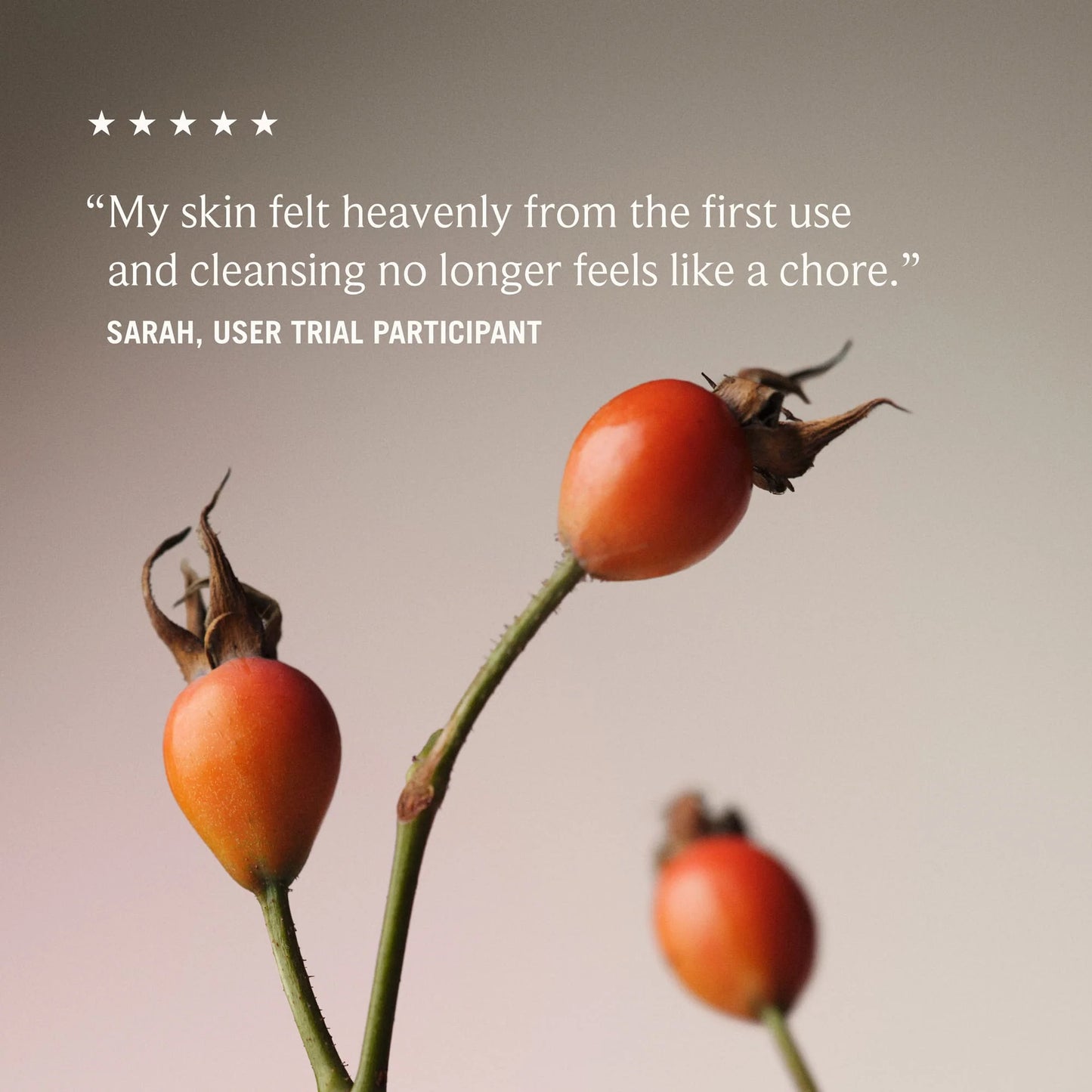 Wild Rosehip Glow Cleansing Oil