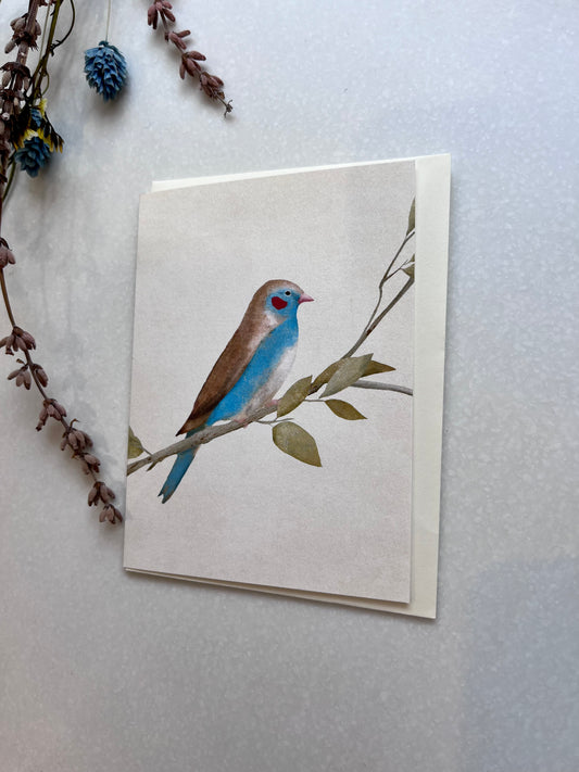 Small Card - Blue Bird