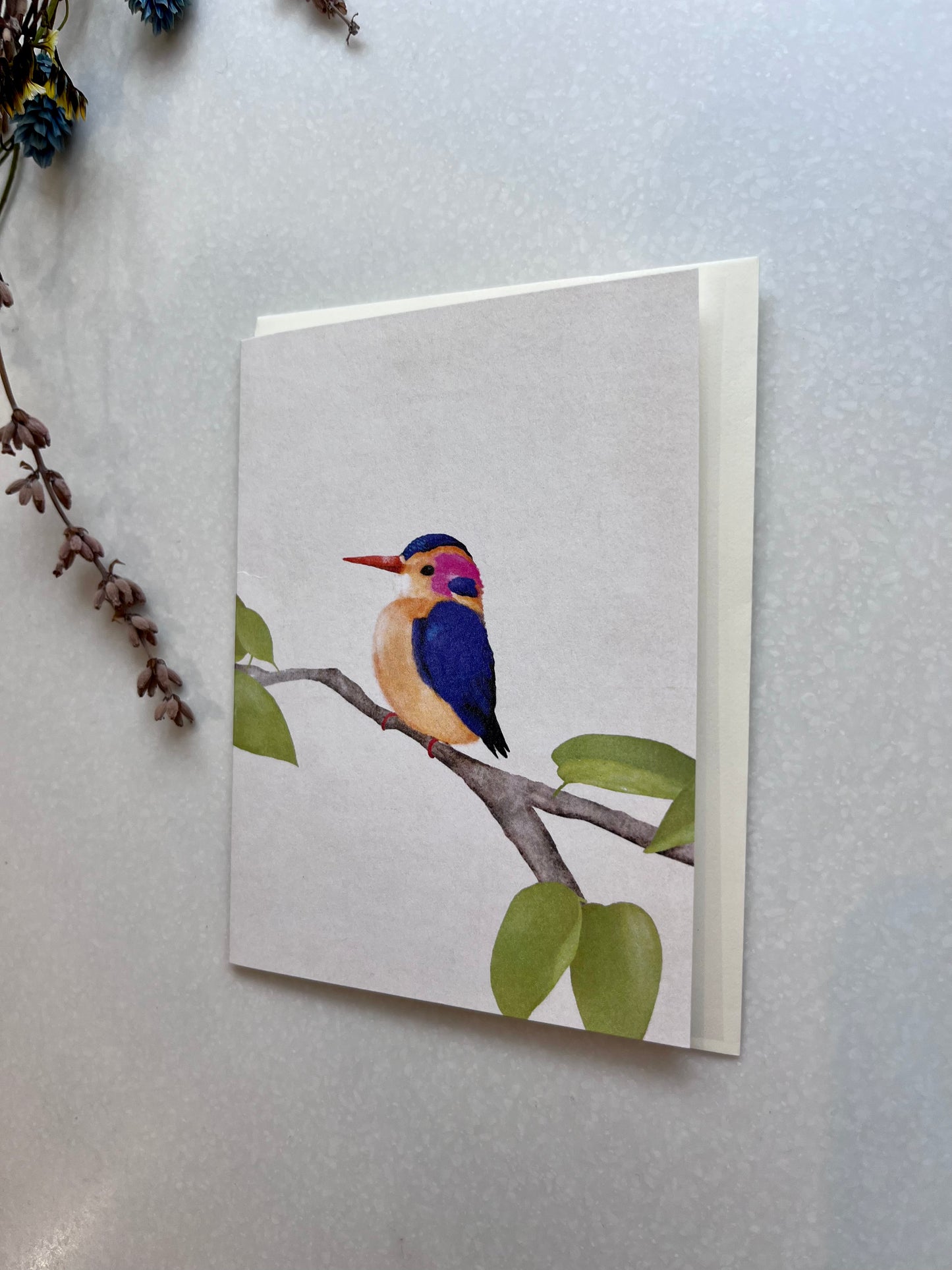 Small Card - Kingfisher