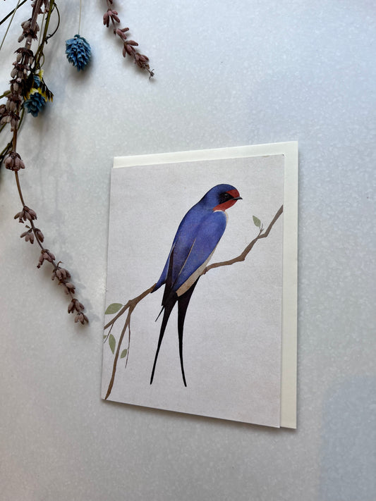 Small Card - Swallow