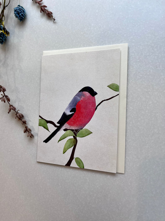 Small Card - Bullfinch