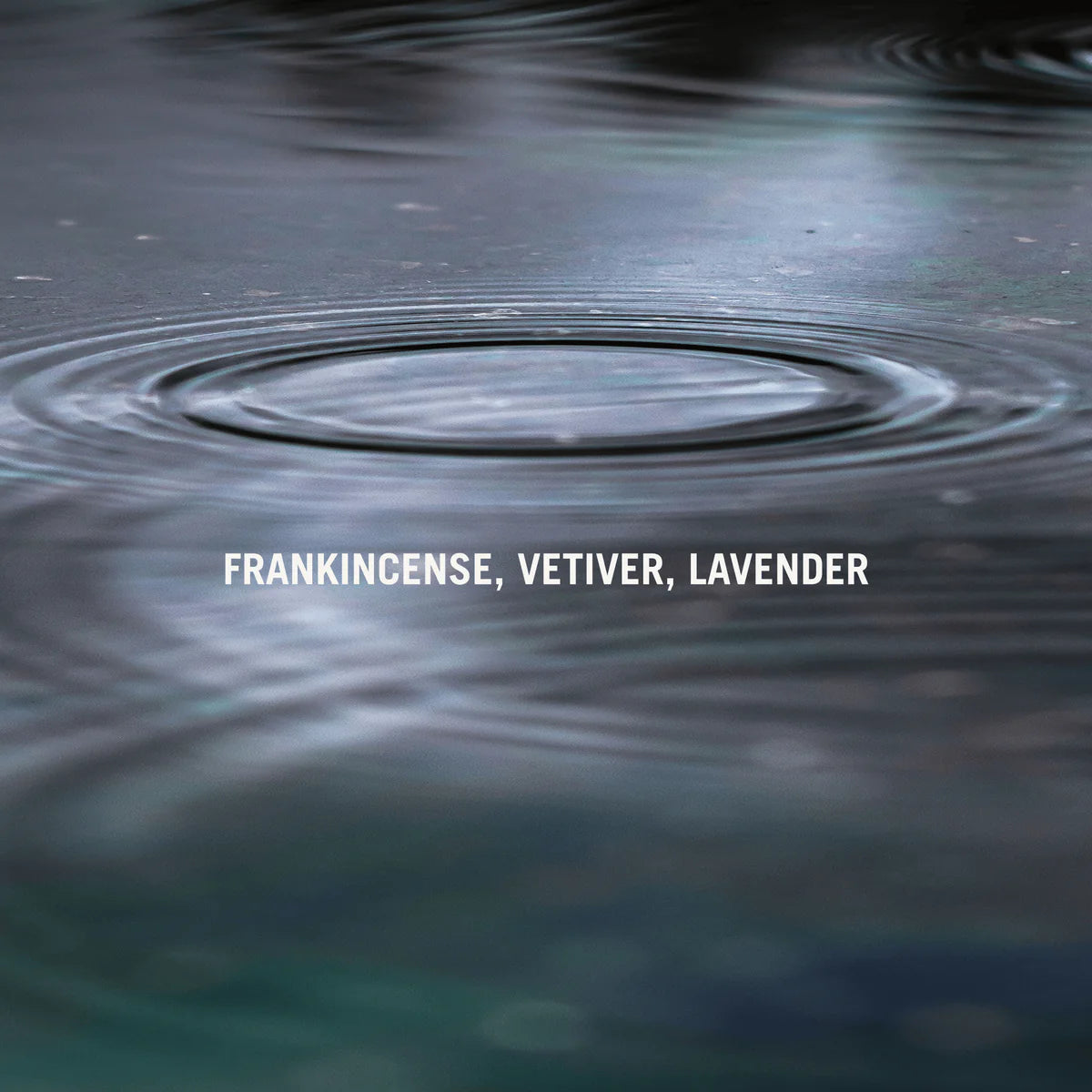 Petrichor Frankincense Eau De Parfum
