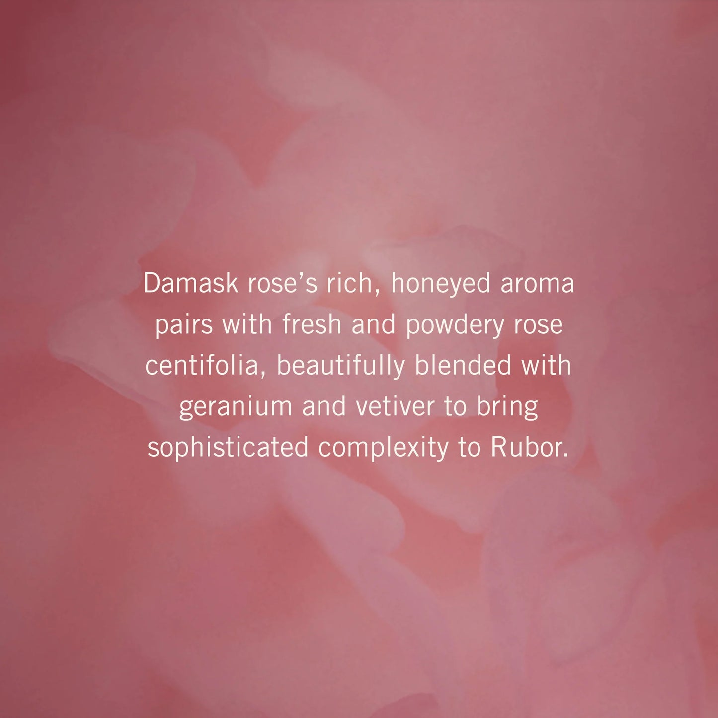 Rubor Rose Eau De Parfum