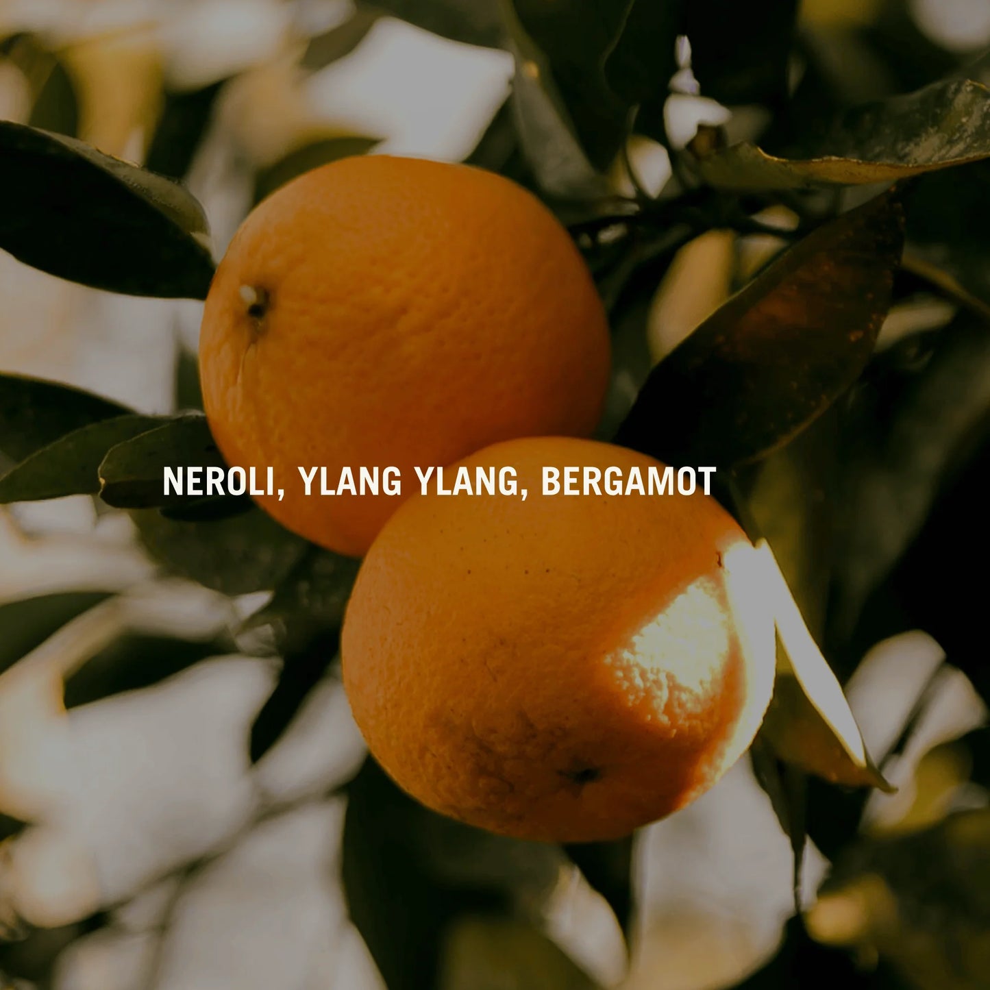 Arden Neroli Eau De Parfum