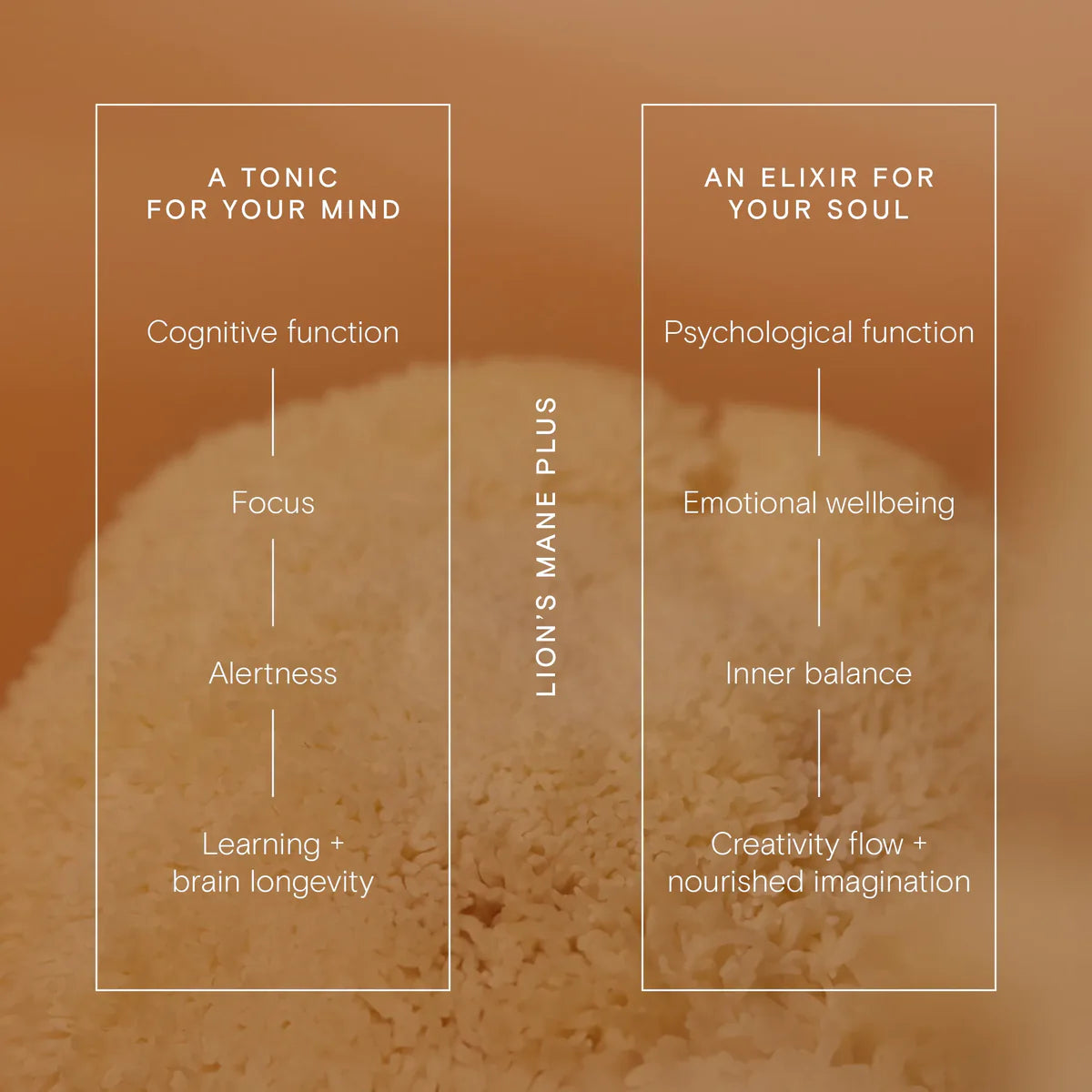 a lions mane mushroom on a orange background with text describing it's benefit. 