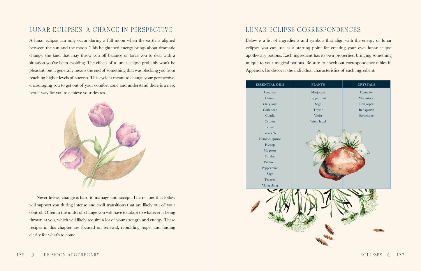 Moon Apothecary
