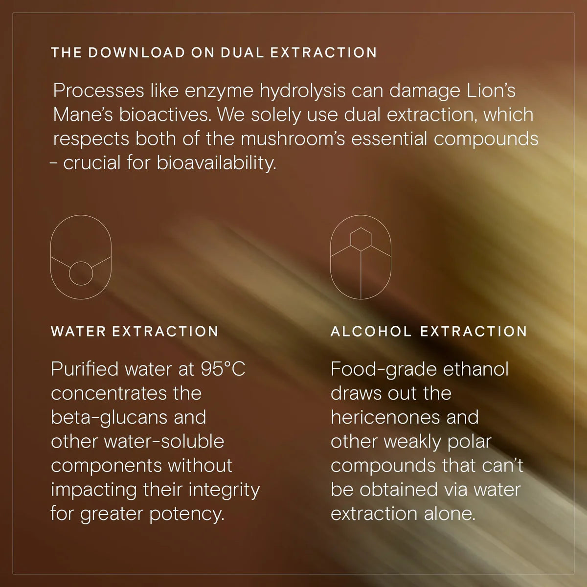 Text explaining dual extraction method for Lion's Mane mushroom with blurred background