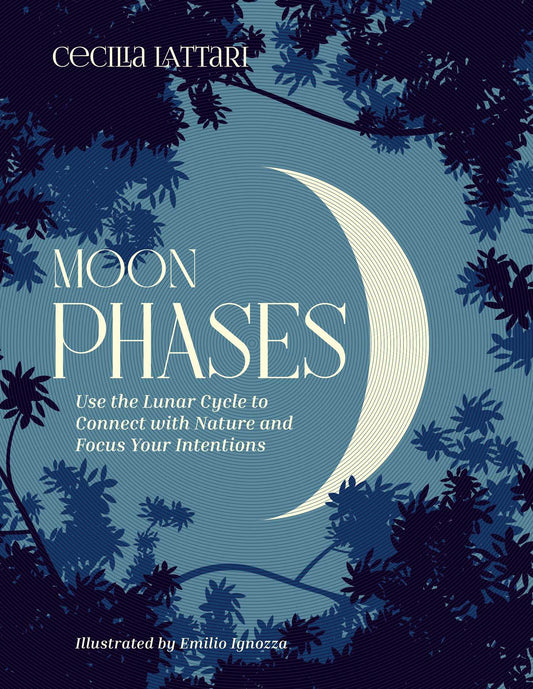 Moon Phases by Cecilia  Lattari