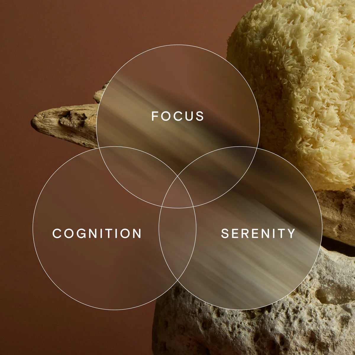 Three circles labeled 'Focus', 'Cognition', and 'Serenity' with a blurred background of bread and stones.