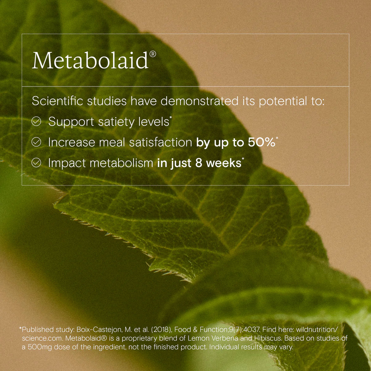 Close-up of green leaves with Metabolaid product information overlay.